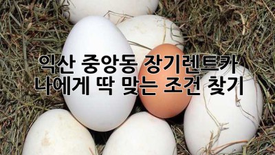 익산 중앙동 장기렌트카: 나에게 딱 맞는 조건 찾기