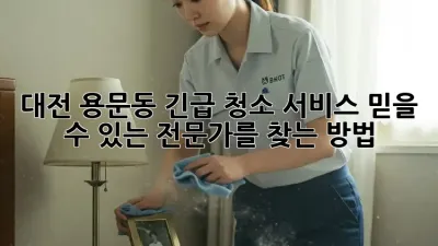 대전 용문동 긴급 청소 서비스: 믿을 수 있는 전문가를 찾는 방법